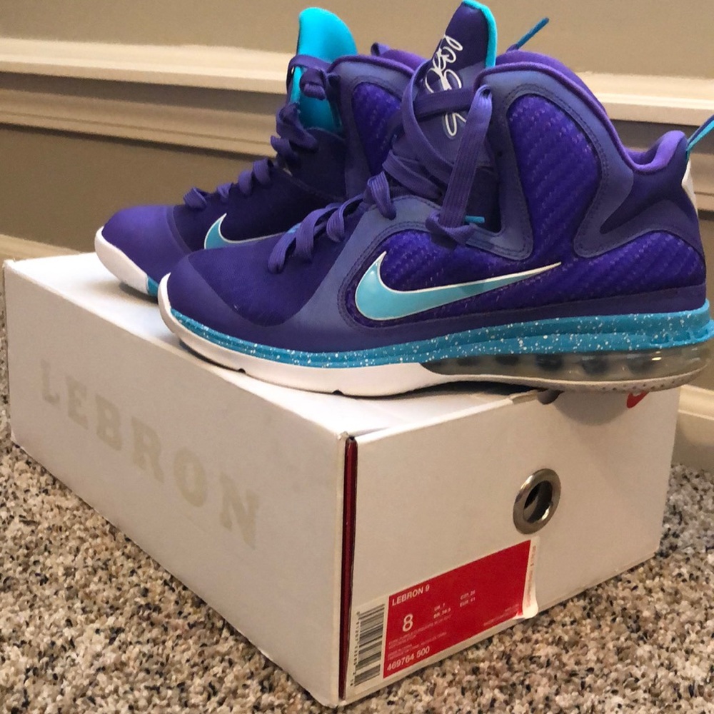 Nike Lebron 9 Hornets (Size 8 Men/ Women 10)